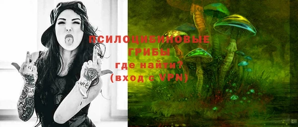 спиды Няндома